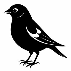 finch silhouette vector illustration