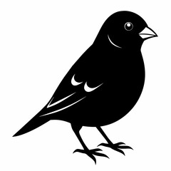 finch silhouette vector illustration