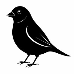 finch silhouette vector illustration