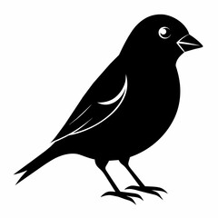 finch silhouette vector illustration