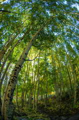 rocky mountain scenery and landscapes