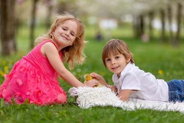 Happy beautiful child, kids, playing with small beautiful ducklings or goslings, cute fluffy animal birds - 795227375