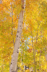 Nature Landscape and scenery