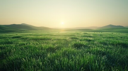 Beautiful fresh green field at dawn landscape view. AI generated image - obrazy, fototapety, plakaty