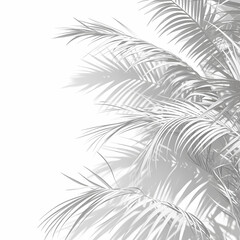 A Silhouetted Palm Tree with Dreamy Shadows for a Serene Mood