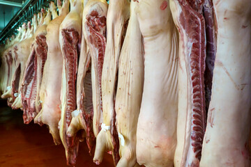 Pork meat in production. Fresh pork carcasses in a meat factory warehouse