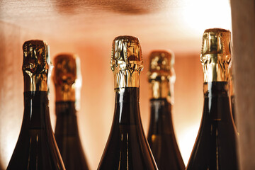 Close-Up of Sparkling Wine Bottles in Warmly Lit Cellar - 795236991
