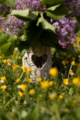 Bouquet of lilacs in a wicker vase standing in nature in the grass