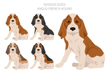 Medium sized Anglo-French hound puppy clipart. Different poses, coat colors set