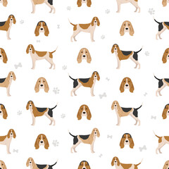 Artois hound seamless pattern. Different poses, coat colors set