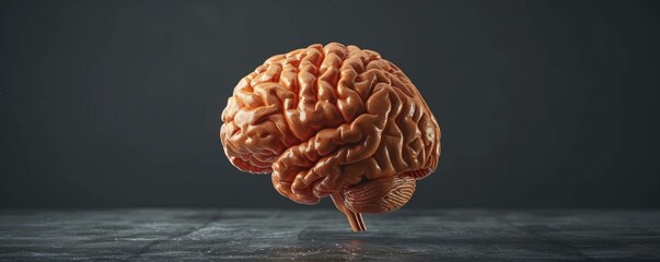 3D illustration of the human brain on a black background.