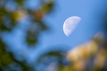 Half moon peeking through the leaves at a local park in Finland during autumn