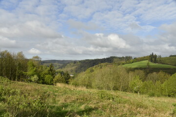 Contraste entre ombre et éclaircie sur le gazon et les cimes des arbres sur les collines aux environs de Bouillon 