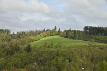 Contraste entre ombre et éclaircie sur le gazon et les cimes des arbres sur les collines aux environs de Bouillon 