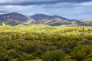 Superstition Mountains Foothills Arizona
