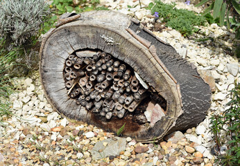 Insect hotel, Insect shelter