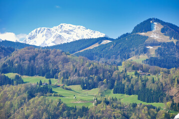Mountain scene of snow-capped peak with green forests and fields with a dry ski slope