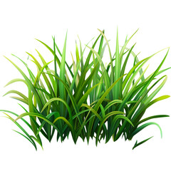 Fototapeta premium A tuft of green grass against a white background.