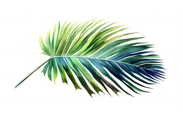 Watercolor Palm Leaf Illustration.
A vibrant watercolor illustration of a palm leaf, with flowing green hues, isolated on white, perfect for botanical themes and tropical decor.