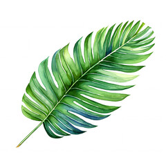 Watercolor Tropical Leaf Illustration.
Elegant watercolor illustration of a tropical leaf, perfect for botanical designs, home decor, and nature-themed projects.