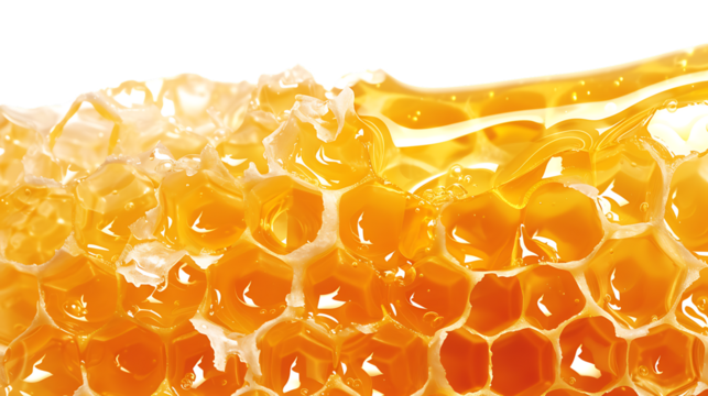 A close-up of a honeycomb with honey dripping down.