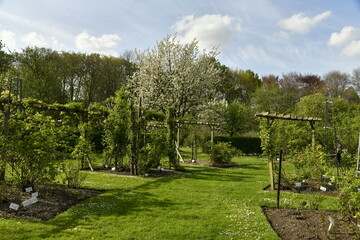 Le jardin botanique aux plantes médicinales au printemps au Vrijbroekpark à Malines 