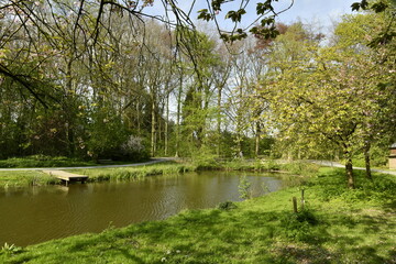 L'étang-canal sous le feuillage luxuriant des arbres au printemps au Vrijbroekpark à Malines