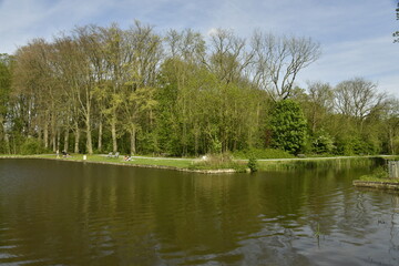 L'étang principal en plein bois au printemps au Vrijbroekpark à Malines 