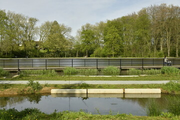Passerelle au raz de l'eau séparant l'étang principal et la partie biologique au Vrijbroekpark à Malines 