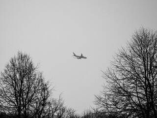 airplane in the sky between the treetops in black and white