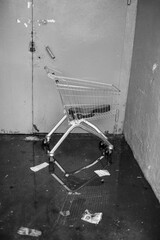a supermarket trolley with an army belt inside stands on a trash bin near a residential building
