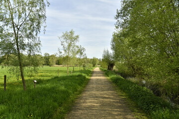 Chemin entre deux bois au Vrijbroekpark à Malines 