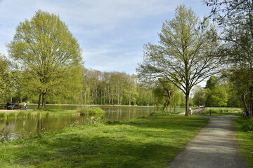 Fototapeta premium Chemin le long de l'étang-canal à la végétation luxuriante au Vrijbroekpark à Malines 