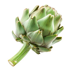 Fototapeta premium Artichoke isolated on transparent background