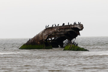 This is the stone ship or concrete ship of Cape May New Jersey. The piece of ship protruding from...