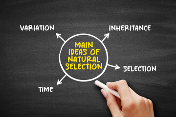 Main ideas of natural selection (differential survival and reproduction of individuals due to...