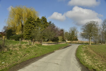 Route pour la promenade &agrave; travers la v&eacute;g&eacute;tation luxuriante au domaine provincial de Kessel-Lo (Leuven)