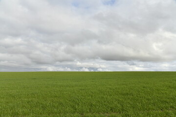 Nuages gris et sombres en fin de journée contrastant avec le vert du paysage rural aux environs de Ghislenghien (Ath) 