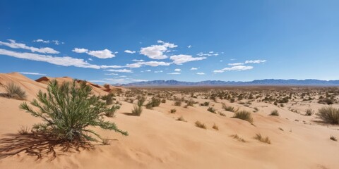 Photo Of a Hot Arabic Desert