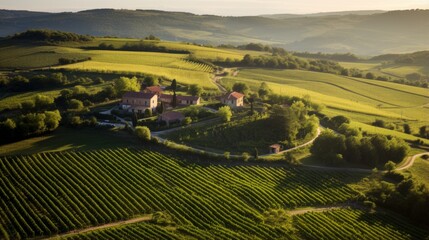 Obraz premium A countryside pension with rolling vineyards and wine tasting experiences