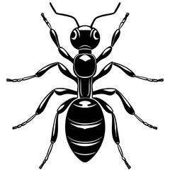 Ant vector silhouette on white background 