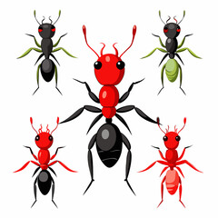 Ant's vector silhouette on white background 