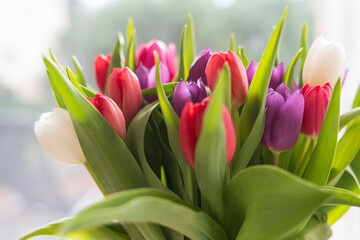 Bouquet of tulips in a vase on the windowsill