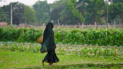 Naklejka na ściany i meble a female farmer carrying a basket in field
