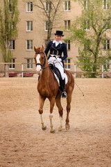 Dressage rider and chestnut horse poised in sandy urban arena