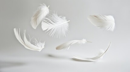 Boho chic feathers floating elegantly on a minimalist white surface
