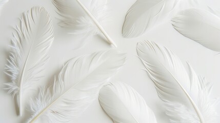Fototapeta na wymiar Boho-inspired feathers creating a serene and tranquil ambiance on white