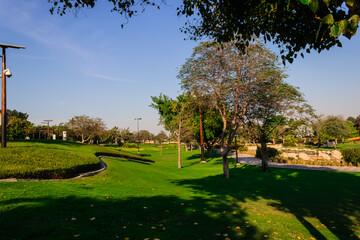 blue sky and park in summer. High quality 4k footage
