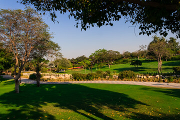 garden in the park