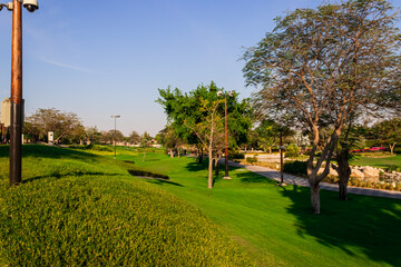 blue sky and park in summer. High quality 4k footage